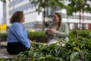het-gebruik-van-stockfotos